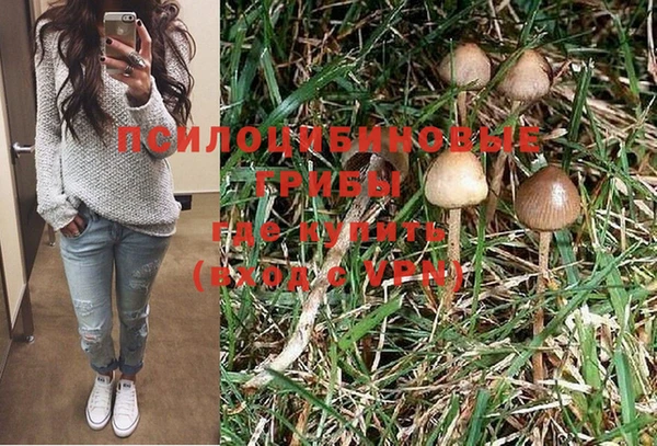 PSILOCYBIN Абинск