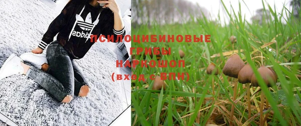 соль ск Абдулино