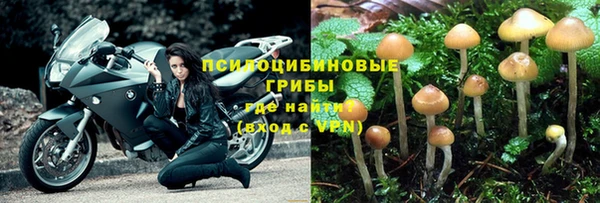 apvp Алзамай