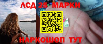 крисы Лесосибирск