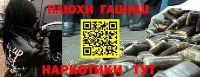 крисы Лесосибирск