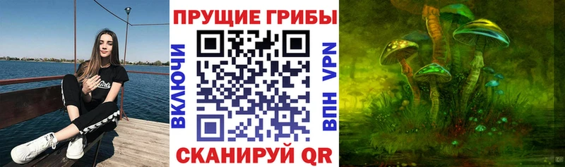 Псилоцибиновые грибы Psilocybine cubensis  где продают наркотики  ссылка на мегу ТОР  Грязи 