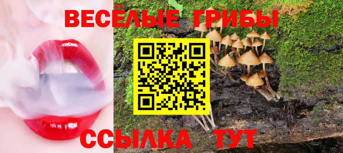 Псилоцибиновые грибы мухоморы Грязи