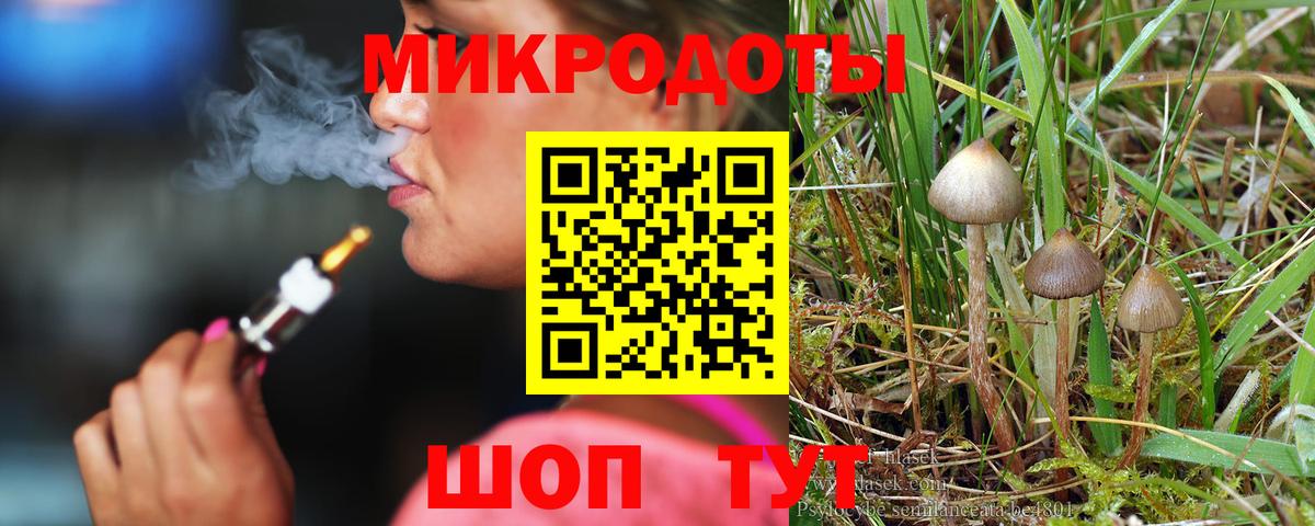 Грязи  Галлюциногенные грибы Psilocybine cubensis  Вход с VPN 